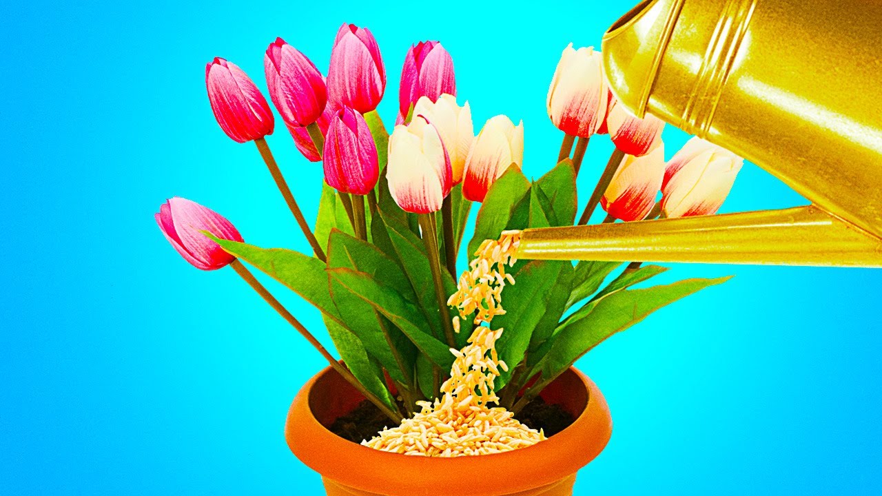28 PLANT HACKS TO MAKE YOUR HOME GREEN GARDEN - YouTube