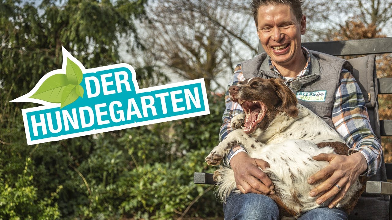Der hundefreundliche Garten