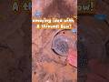 Amazing idea With A Thinwall bow! #real #thinwall #ideas #diy #hack #fyp #fypシ