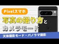 Pixelスマホで写真の撮り方と豊富なカメラモードを解説！一眼レフで撮ったような写真をPixelでも撮れる