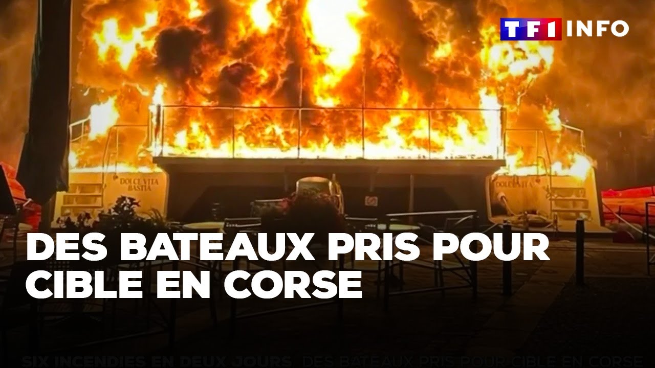 Des bateaux pris pour cible en Corse｜TF1 INFO