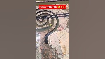 जो भी मेरी पुजा करेगा उसे परिक्षा !! Mahadev Status !! #mahadev #mahakal #youtubeshorts #status