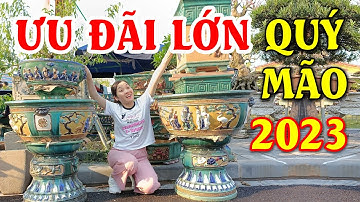 Khuyến Mãi Tết Quý Mão 2023 - Chậu Cây Cảnh Bonsai Tròn Đẹp