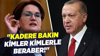 Meral Akşener Kadere Bakın Kimler Kimlerle Beraber Krt Haber