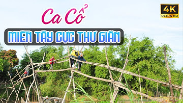 Vừa Nằm Vừa Nghe Ca Cổ Miền Tây Cực Thư Giãn Dễ Ngủ - Ca Cổ Cải Lương Hơi Dài Ru Ngủ🌾Tân Cổ Dân Ca