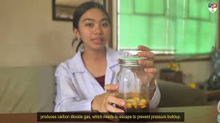 Garlic-Honey Fermentation || STEM 301 Performance Task