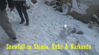 Snowfall in shimla, kufri and narkanda | snowfall kufri | new year 2022