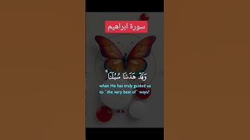 سورة ابراهيم #quran #دويتو #دعاء #تيك_توك #صباحالخير #duet #دعاءمستجاب #لايك #حالاتواتس #صباح_الخير