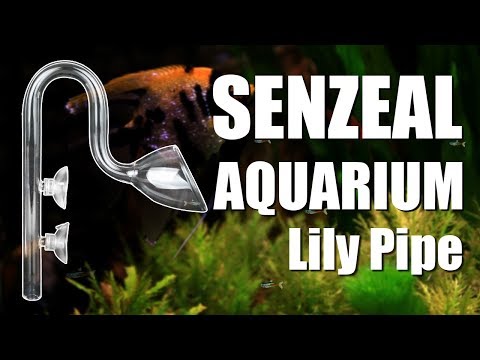 Lily Pipe: Say Goodbye to Ugly Filter Equipment for Good!- from senzeal.com