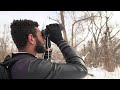 How to birdwatch in winter winter birding