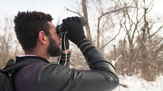 How to birdwatch in winter (winter birding)