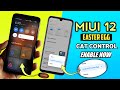 MIUI 12 New Cat Controls Feature Enable Now Xiaomi And Poco Device | MIUI 12 Easter Egg