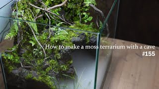 Make a moss terrarium with a cave