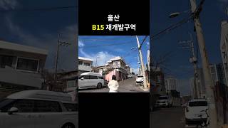 울산 재개발구역 뽀개기_중구 B-15(유곡1) 임장