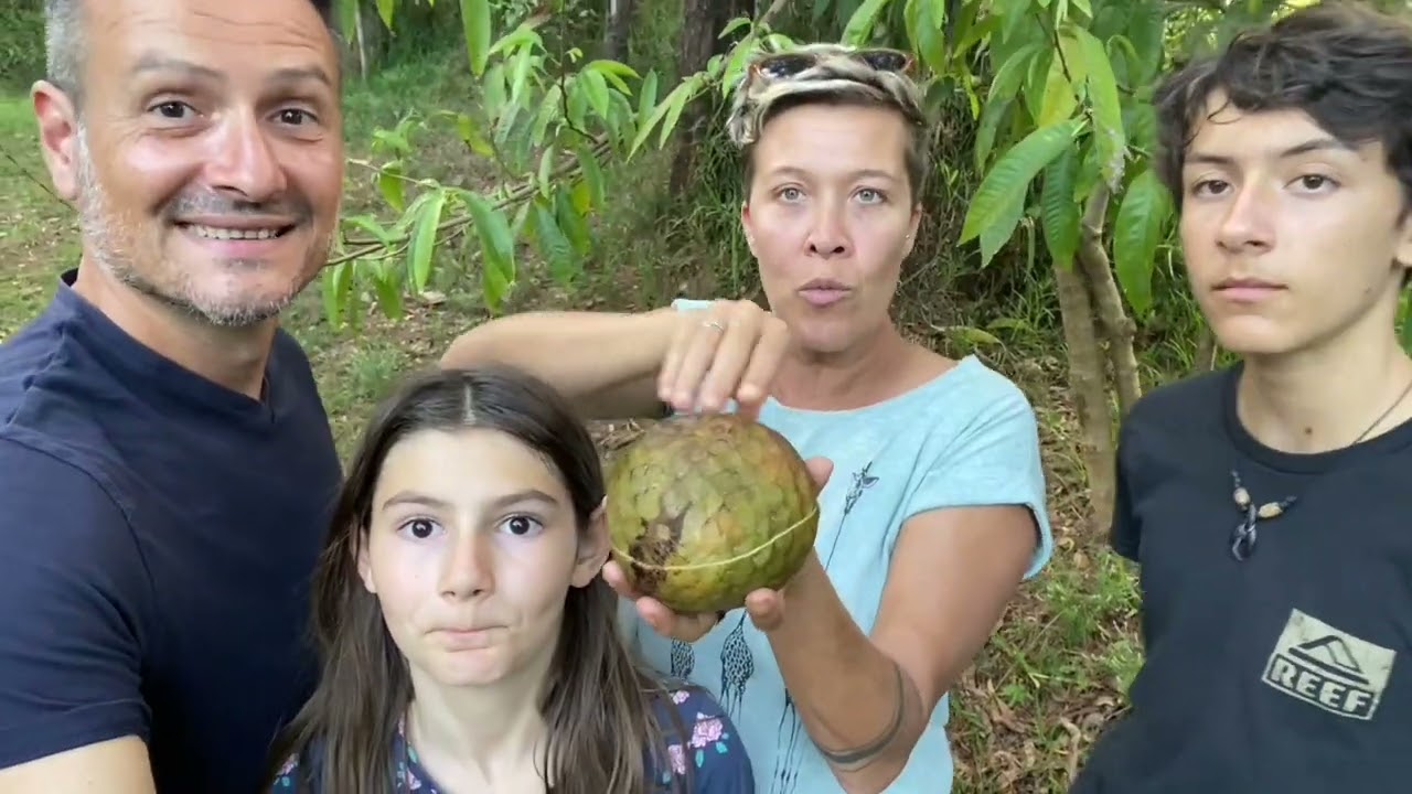 COEUR DE BOEUF : Annona reticulata 👍