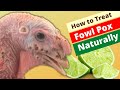 How to Treat Fowl Pox in Chickens & Turkey Naturally with Lime (Made Simple)