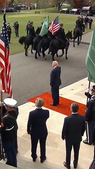               
 - نشر قبل 13 دقيقة