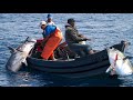 Amazing Strongest Giant Bluefin Tuna Fishing Skill - Amazing big catch fishing in the sea