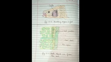 Class 7 science chapter-10 Respiration in Organisms notes + keywords (Ncert) #shorts