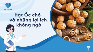 Hạt Óc Chó Và Những Lợi Ích Không Ngờ | SỨC KHỎE 360