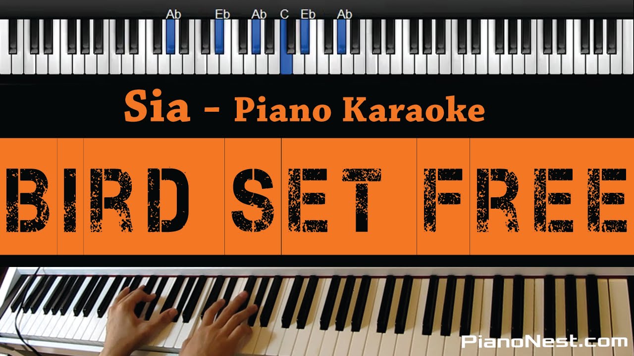 Sia - Bird Set Free - Piano Karaoke / Sing Along / Cover With Lyrics -  Youtube