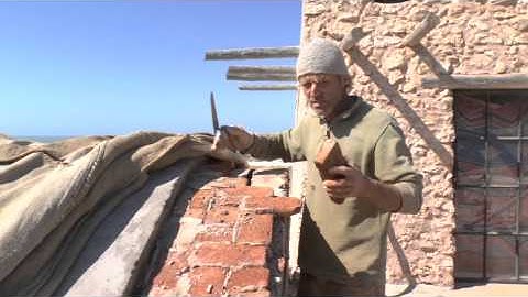 Fertile Roots HQ Barrel Vault