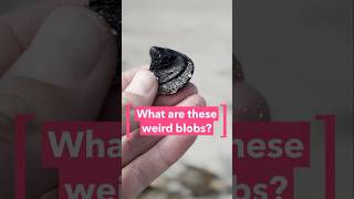 Californias black blobs mystery @DWPlanetA