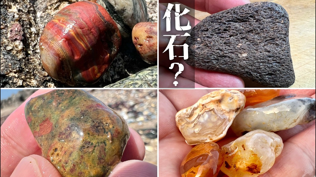 Rockhounding] Getting Excited Over Mystery Fossils, Agate, and