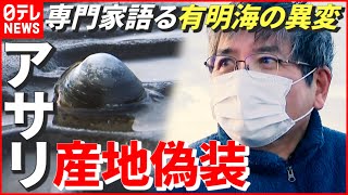 【産地偽装】97％が外国産の可能性…“熊本県産アサリ”に一体何が？ 専門家指摘する有明海の異変　熊本　NNNセレクション