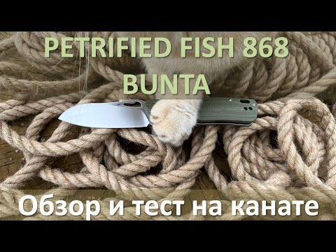 Petrified Fish 868 Обзор и тест на канате