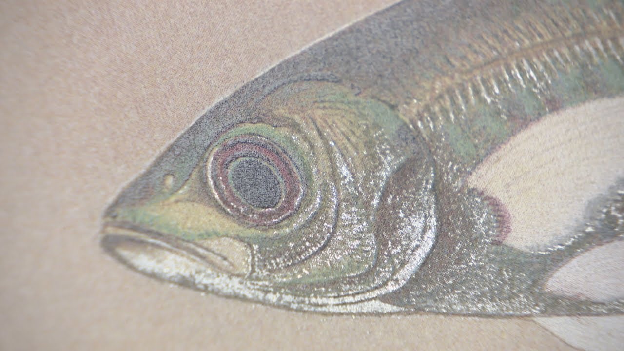 江戸時代の魚類図鑑「衆鱗図」の陶板を香川県立ミュージアムに贈呈