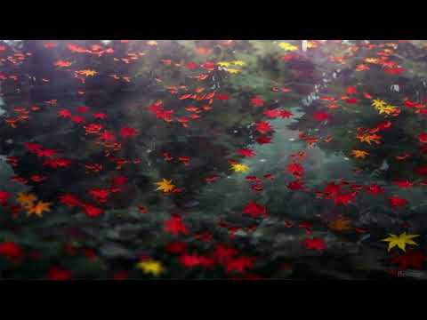 upper westside swing - terrace martin + marcus gilmore (slowed + reverbed)