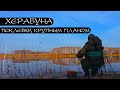 ЛЕДЯНОЙ КАРАСЬ. Лучшее тесто для холодной воды.