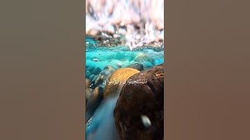 ياسر الدوسري سورة البقرة الايه:(١٨٦)