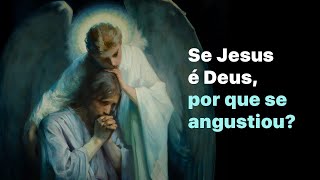 How can we explain the agony and suffering of Jesus in the Garden of Olives?