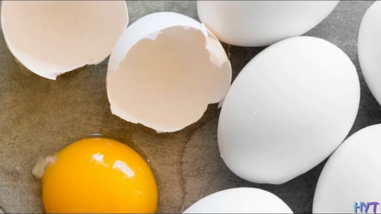 Egg nutrition health benefits Eggs in ayurveda HYT YouTube