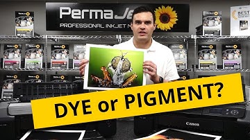 Inkjet Printers: Dye vs Pigment, Which One