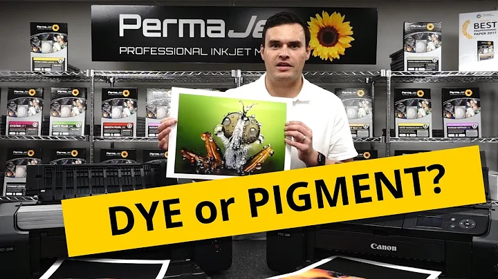 Inkjet Printers: Dye vs Pigment, Which One's Better?