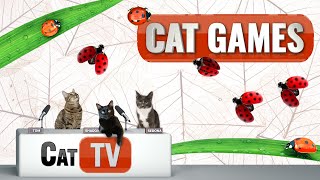 CAT Games | Ladybug Adventures ✨ | Videos For Cats to Watch |