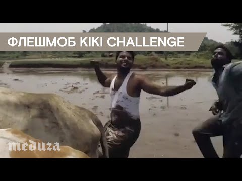 Флешмоб Kiki Challenge: индийские фермеры в нем — лучше всех - Флешмоб Kiki Challenge: индийские фермеры в нем — лучше всех