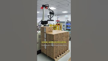 The palletizing robot can accurately grasp and place materials #automobile #industrialrobot