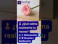 La mayoría falla este Quiz SoulTap de la mente… ¿Tú lo lograrás? ✝️🧠