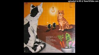 Mauro Pelosi - Greenwood Creek - YouTube