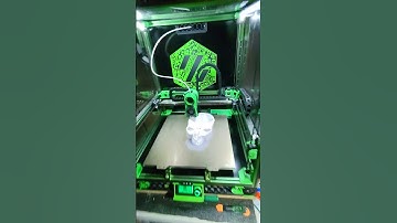 Voron Switchwire Microswitch TAP 125-hour test