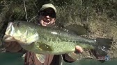 ザ ストロングパワーベイトvol 99 スーパーフィンズギル1爆釣編 Youtube