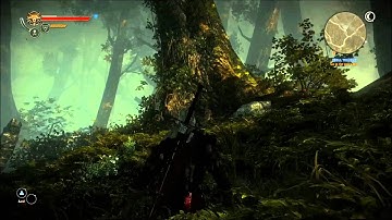 The Witcher 2 Part 16 (Iorveth