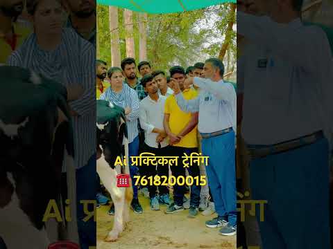 artificial insemination training