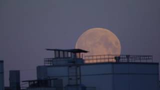 Moonset over roofs