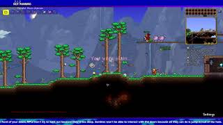 Terraria, Pogo Stick and the Bunny