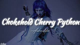 Ashnikko | Chokehold Cherry Python | Türkçe Çeviri + Lyrics